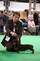 Crufts2011_2 1561